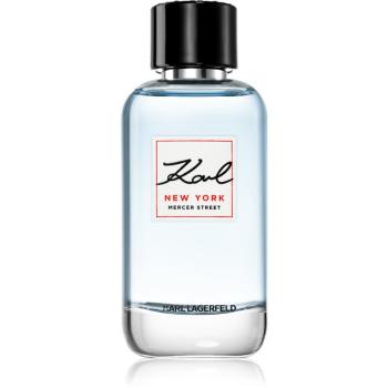 Karl Lagerfeld New York Mercer Street toaletní voda pro muže 100 ml