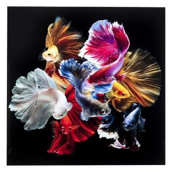 Skleněný obraz Colorful Swarm Fish 120 × 120 cm