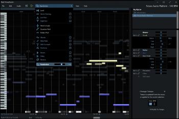 Hit`n`Mix RipX: DeepRemix