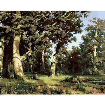 Diamondi - Diamantové malování - DUBOVÝ HÁJ (IVAN SHISHKIN), 40x50 cm, bez rámu a bez vypnutí plátna (605779A)