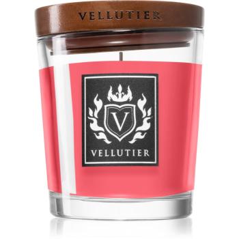 Vellutier Into The Wilderness vonná svíčka 90 g