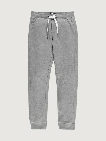 O'Neill All Year Jogger Pants Tepláky dětské Šedá