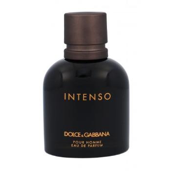 Dolce&Gabbana Pour Homme Intenso 75 ml parfémovaná voda pro muže