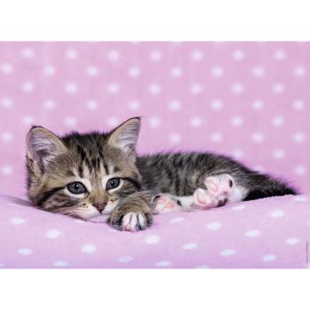 Ravensburger puzzle Roztomilé koťátko na růžové dece 200 XXL dílků