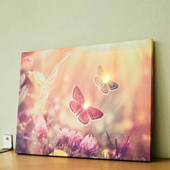 Magnet 3Pagen LED obraz "Motýli"