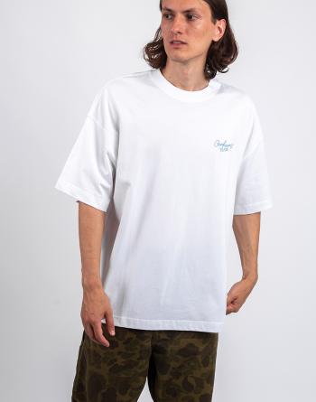 Tričko Carhartt WIP S/S Signature Script T-Shirt White / Dusty Ice