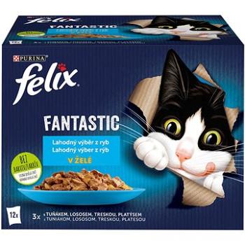 Felix Fantastic s lososem, platýsem, tuňákem a treskou v želé 12 x 85 g (7613039743041)