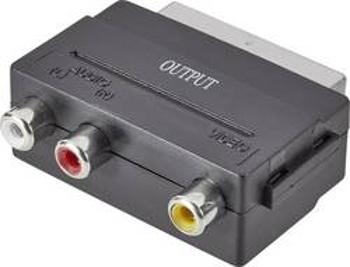 SCART / cinch adaptér SpeaKa Professional SP-7870668, černá