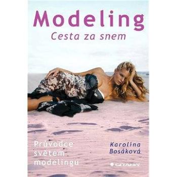 Modeling (978-80-247-3288-6)