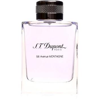 S.T. DUPONT 58 Avenue Montaigne EdT 100 ml  (3386460038201)