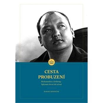 Cesta Probuzení (978-80-570-3875-7)