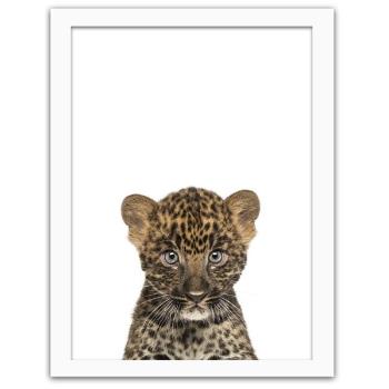 Obraz v rámu – malý leopard