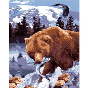 Malování podle čísel - Medvěd grizzly s rybou (Howard Robinson) (HRAbz33402nad)