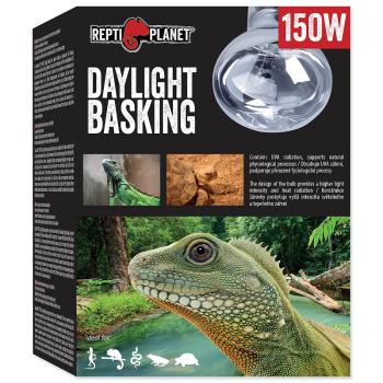 Žárovka REPTI PLANET Daylight Basking Spot 150 W