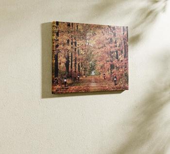 Magnet 3Pagen LED obraz "Podzimní les"