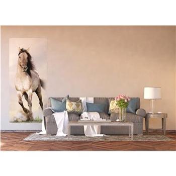 AG Design 1 dílná fototapeta GALLOPING HORSE FTNV 2928, 90 x 202 cm vlies (FTNV2928)