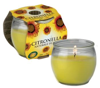 Petali Citronella vonná svíčka ve skle