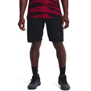 Ua perimeter 11'' short s