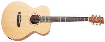 Tanglewood TWR2 OE