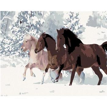 Malování podle čísel - Koně ve sněhu (HRAmal00987nad)