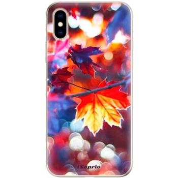 iSaprio Autumn Leaves pro iPhone XS (leaves02-TPU2_iXS)