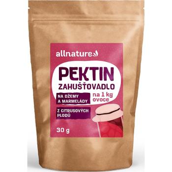 Allnature Pektin přírodní zahušťovadlo v prášku 30 g