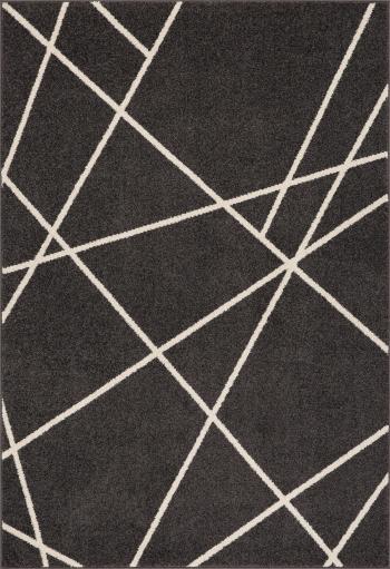 Oriental Weavers koberce Kusový koberec Portland 2605/RT4Z - 200x285 cm Šedá