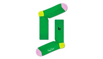 Happy Socks Ribbed Embroidery Poodle Sock zelené REPDL01-7300