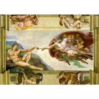 Enjoy Michelangelo Buonarroti: Stvoření Adama 1000 dílků (1383)