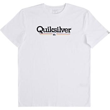 Quiksilver TROPICAL LINES SS Pánské triko, bílá, velikost S
