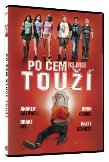 Po čem kluci touží? (DVD)