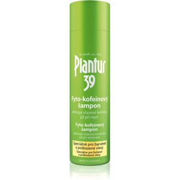 Plantur 39 kofeinový šampon pro barvené a poškozené vlasy 250 ml