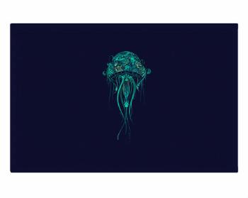 Rohožka medúza