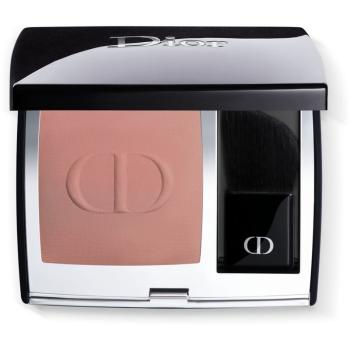 DIOR Rouge Blush kompaktní tvářenka se štětcem a zrcátkem odstín 100 Nude Look (Matte) 6 g