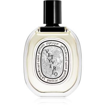 Diptyque Vetyverio toaletní voda unisex 100 ml