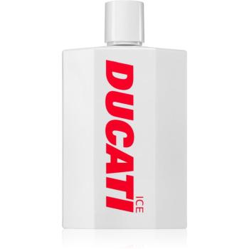 Ducati Ice toaletní voda pro muže 100 ml