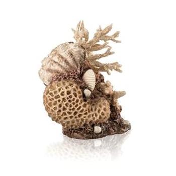biOrb coral-shells ornament přírodní