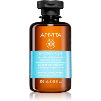 Apivita Hydratation Moisturizing Shampoo hydratační šampon pro všechny typy vlasů 250 ml