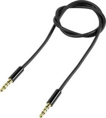 Jack audio kabel SpeaKa Professional SP-7870120, 1.00 m, černá