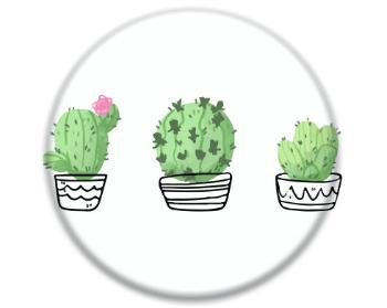 3D samolepky kruh - 5 kusů Kaktusy