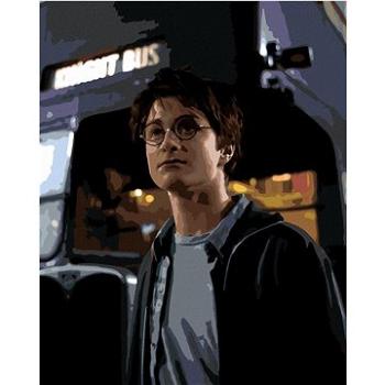 Harry Potter před zachraným kouzelníckým autobusem, 40×50 cm, vypnuté plátno na rám (6063381)