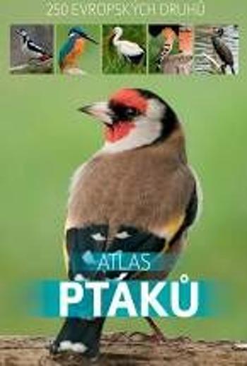 Atlas ptáků