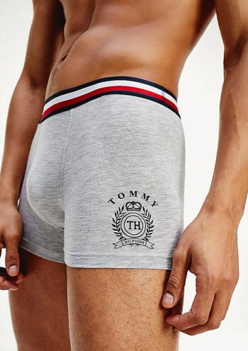 Pánské boxerky Tommy Hilfiger UM0UM01819 XL Šedá