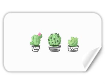 Samolepky obdelník - 5 kusů Kaktusy