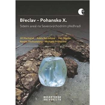 Břeclav – Pohansko X.: Sídelní areál na Severovýchodním předhradí (978-80-210-9892-3)
