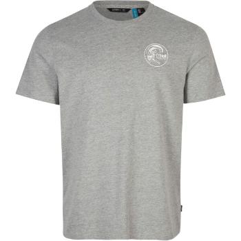 O'Neill CIRCLE SURFER T-SHIRT Pánské tričko, šedá, velikost XL