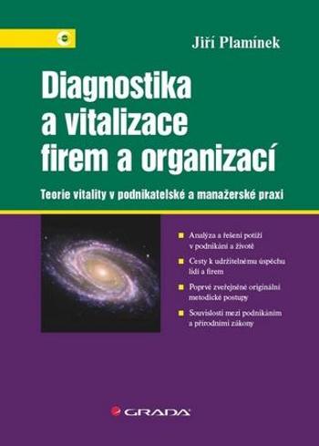 Diagnostika a vitalizace firem a organizací - Plamínek Jiří