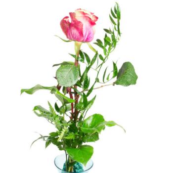 Chocolissimo - Řezaná růžová růže 150 g