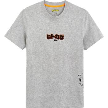 CELIO LCEPOKE Pánské tričko, šedá, velikost M