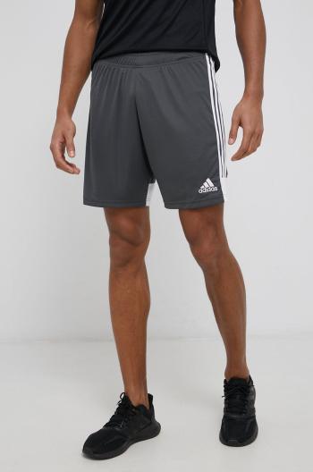 Tréninkové šortky adidas Performance DP3255 pánské, šedá barva
